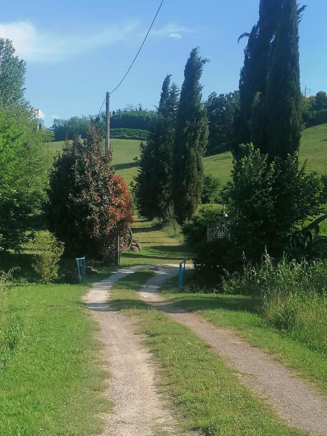 Agriturismo Campolungo Sant'Ermo 外观 照片