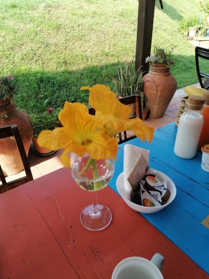 Agriturismo Campolungo Sant'Ermo 外观 照片