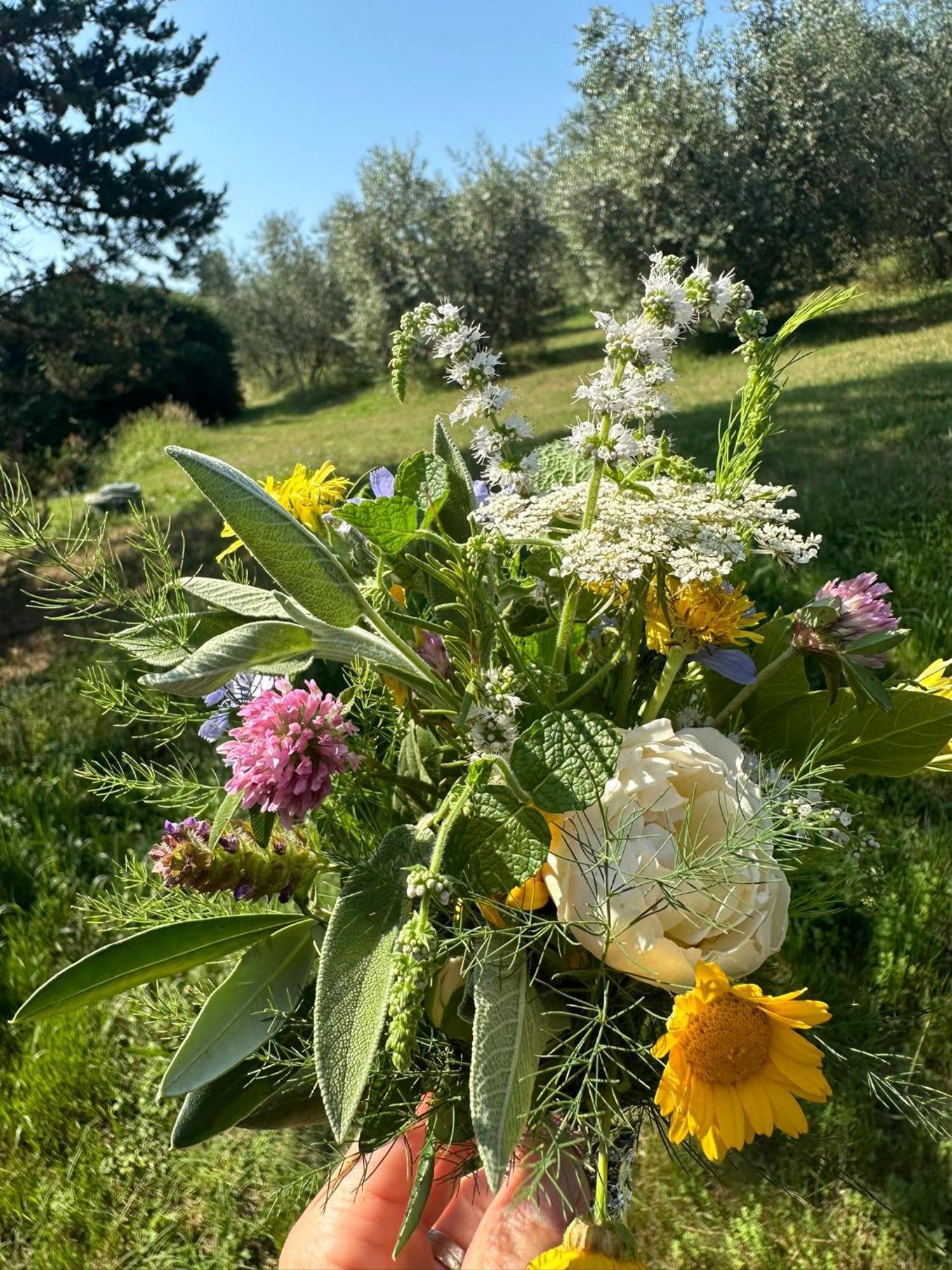 Agriturismo Campolungo Sant'Ermo 外观 照片